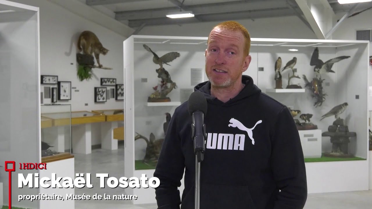 Ouverture du nouveau Musée de la nature à SaintTitedesCaps YouTube