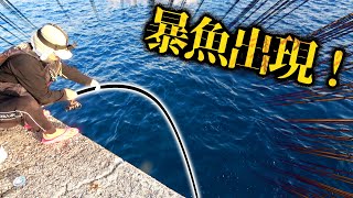 巨大魚が潜む一文字で一泊して大物を狙え！【那覇一文字一泊 前編】