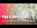 Colour Infrared Photography to Wow Your Audience!