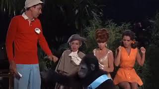 Gilligan's Island: The Naughty Monkey screenshot 3
