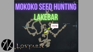 Lost Ark - Mokoko Seed Hunting