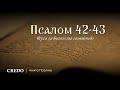 Псалом 42-43. Туга за Богом та святинею