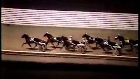 1984 Yonkers Raceway SANDY BLUE CHIP John Kopas
