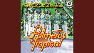 Video thumbnail of "Palmera Tropical - Ritmo Alegre"