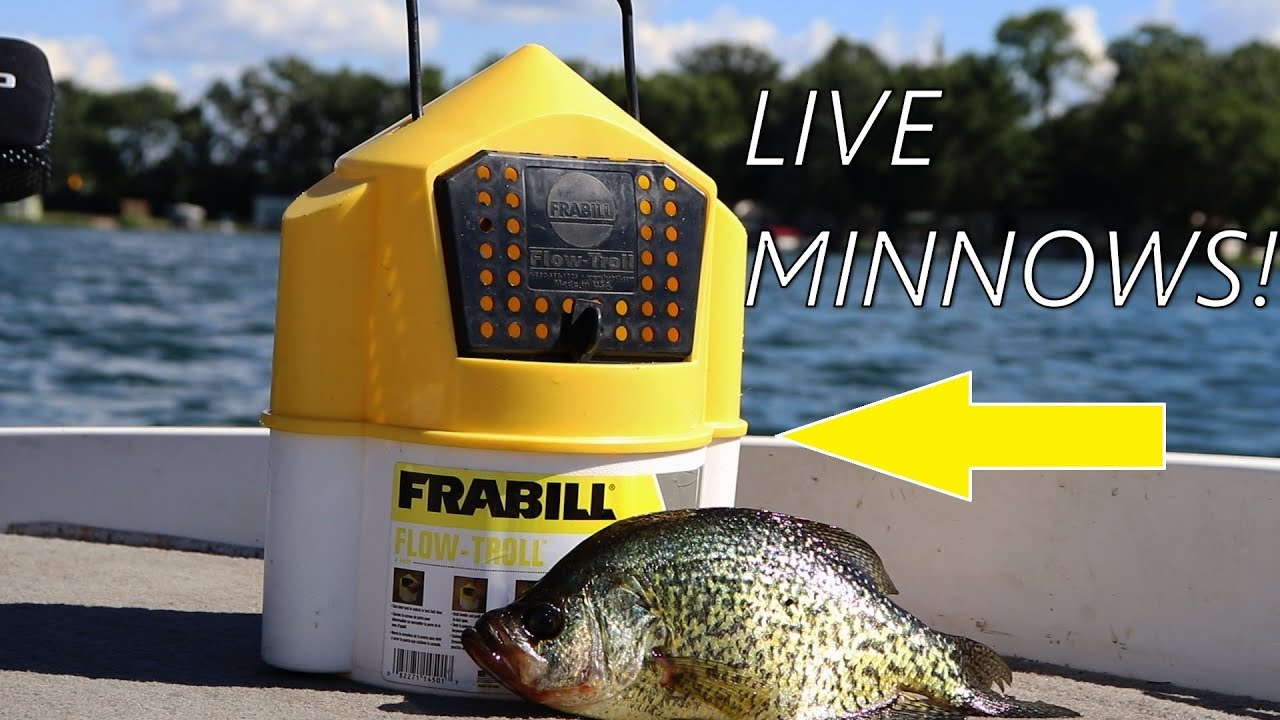 Catching Crappie on LIVE minnows