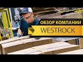 Обзор компании Westrock. Стоит ли покупать акции Westrock в 2021 году? Акции International Paper