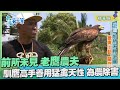 台灣第一等【猛禽老鷹農夫 馴鷹高手實地操演驅趕農害】_154集精華版