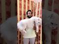 Baby Animals That Grew Into GIANTS!🐶