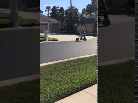 IMG 3748
