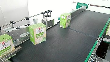 LITA Palletising Systems - Low Level Infeed Layer type Palletizer Presto2