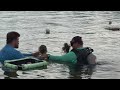 Seagrass restoration project gets a helping hand from students