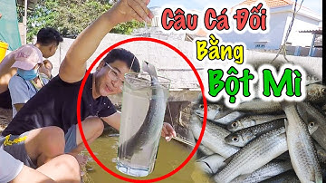 Chỉ Với Bột Mì Và Ly Thuỷ Tinh | Câu 10kg Cá Đối Thật Đơn Giản