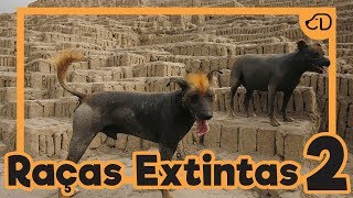 + 5 RAÇAS de cães EXTINTAS! #somosdogueiros #RaçasExtintas