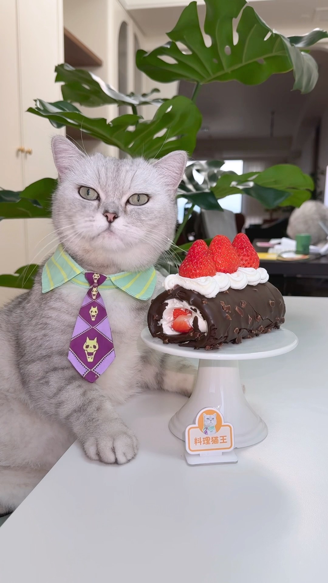 The cat makes a strawberry cake,It's so easy.