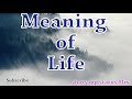Meaning of Life / Quotes video / Whatsapp status MIX | 30 seconds |
