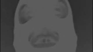 ROGAL DDL FT. LSO - W KOŃCU