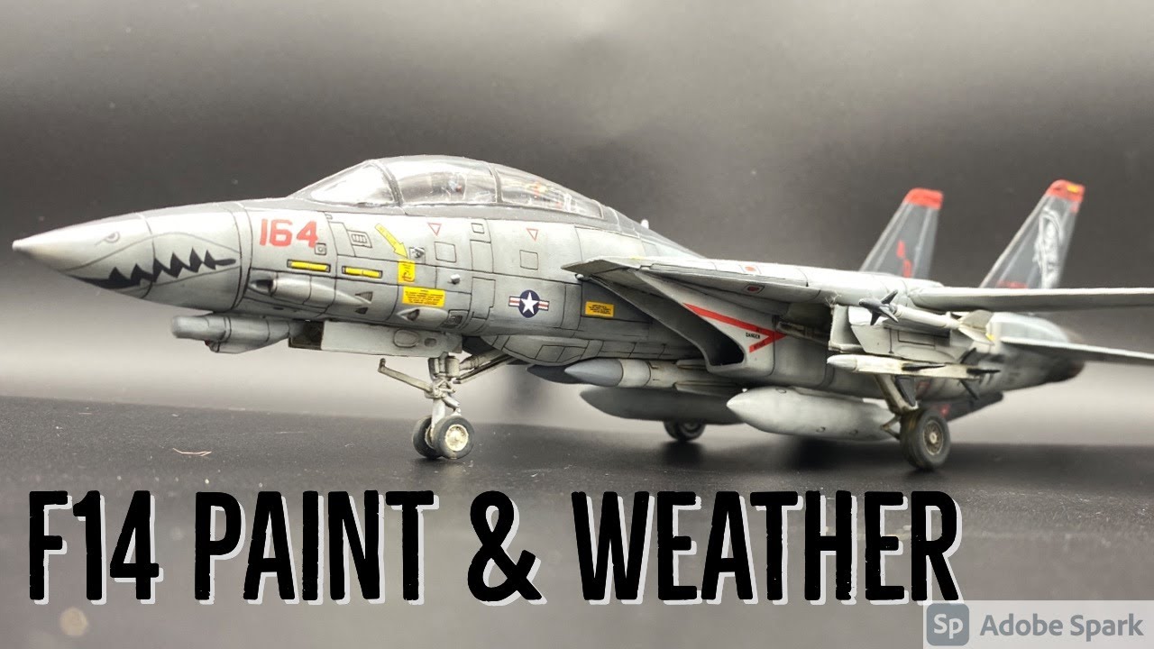 Top Gun One Day Tomcat by Paint on Plastic