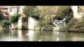 Tickhill Mill Pond, Tickhill, Doncaster, South Yorkshire - 2014 by Goodstuff 208 views 1 year ago 7 minutes, 30 seconds