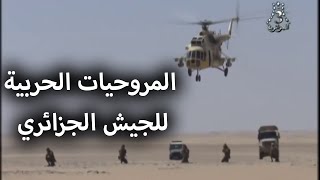 الجيش الجزائري - المروحيات الحربية جاهزة للفتك باعداء الوطن