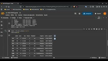 Descripción del funcionamiento de la herramienta Python para la manipulación y visualización.