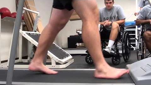 Gait: frontal and sagittal planes