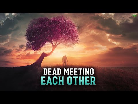Video: Oxford Fenomen. Livet Etter Døden Og De Dødes Ansikter - Alternativt Syn