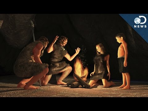 Video: Force-feeding. Lessons From A Prehistoric Grandmother