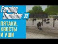 🐷 Всё о свиньях в Farming Simulator 22