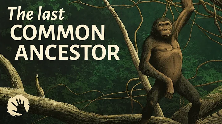 Were We Wrong About The Last Common Ancestor? - DayDayNews
