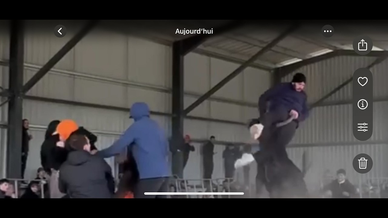 MAS BLANC DES ALPILLES  MANADE DES ALPILLES DU DIMANCHE 15 FÉVRIER 2026