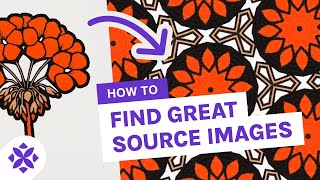 Here’s Where I Find My Source Images (For Pattern Design)