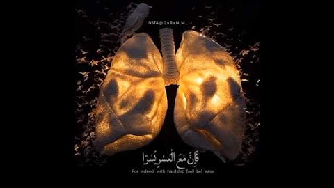 تلاوة مريحة للقلب من سورة الشرح 🎧🌹/ حالات واتس اب دينية