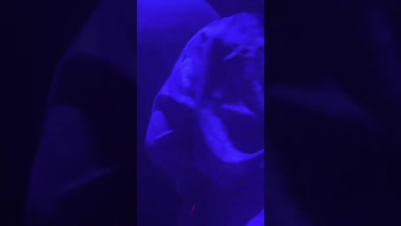 SOCORE FACTORY BBBBBBB