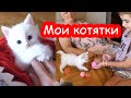 VLOG Первое знакомство Алисы и Миры