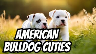 April Showers & Puppy Powers: The Logic & Orla Litter – April 13, 202 #puppylife #americanbulldog