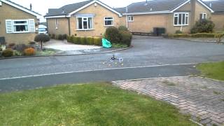 Blade 450 hover practice