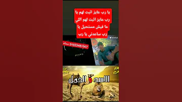 كلها ثابت بس اخوك اسلام سمكه ثابت 