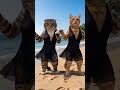 Cat Dance With Bikini! Stranger Things!
