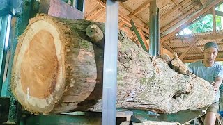 the process of sawing horned teak wood full of hard and beautiful fibers
