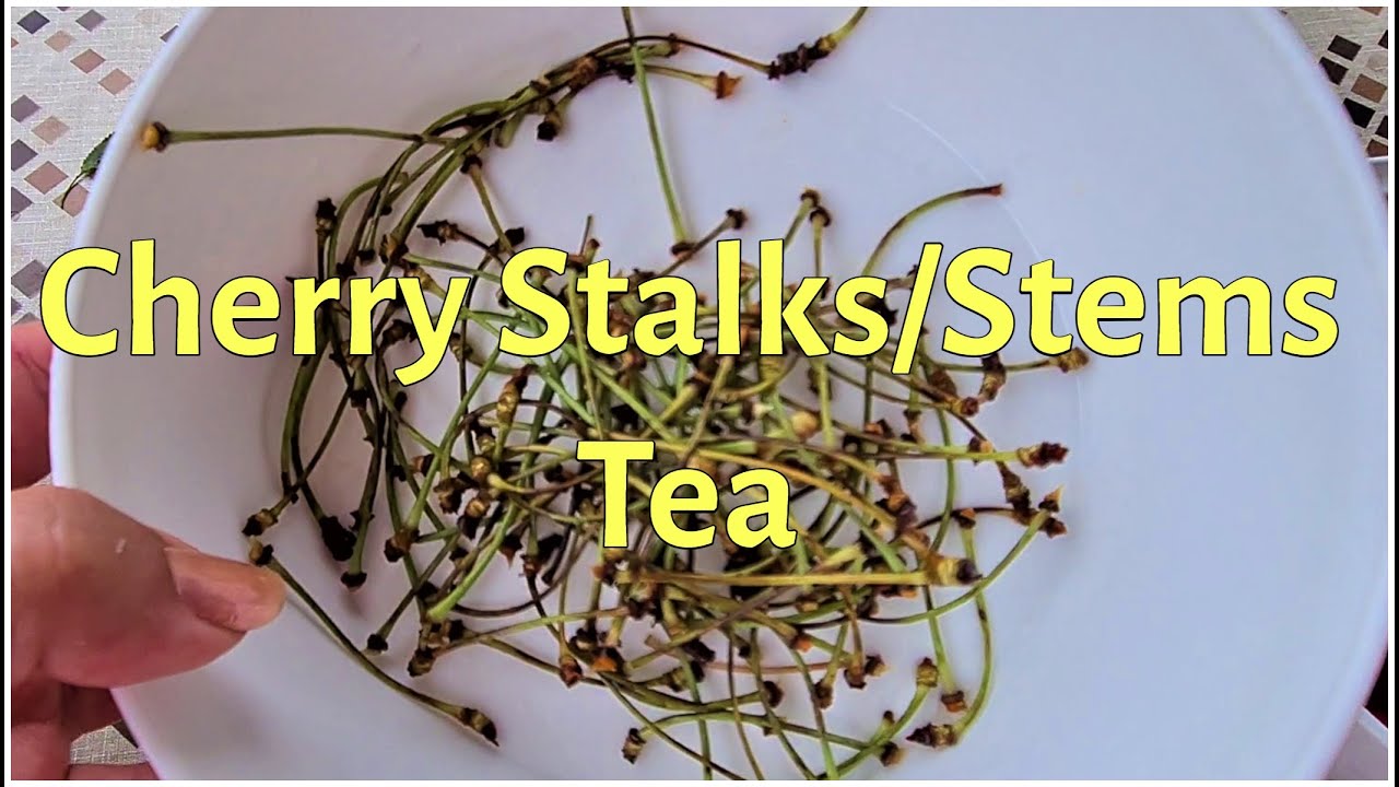 CHERRY STALK/STEM TEA Recipe & Benefits for Health! YouTube
