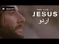 The Life of Jesus • Urdu • 6 of 49