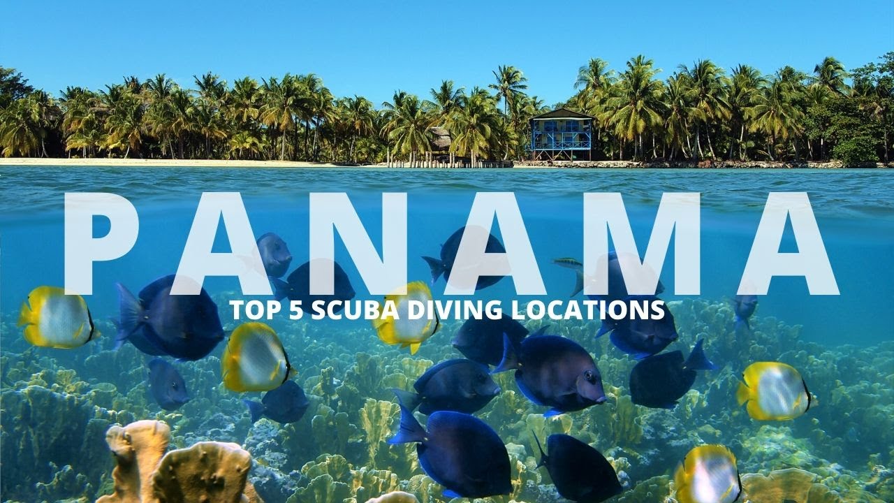 SCUBA Diving Panama Top 5 dive sites in Panama! YouTube