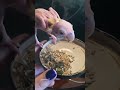 オウムが再び翼を見つけるとき