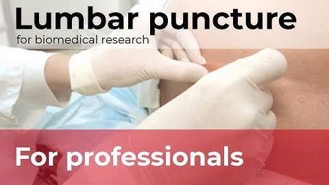 Lumbar puncture technique to collect cerebrospinal fluid for biomedical research
