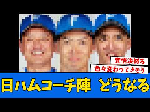 The future of the Nippon-Ham coaching staff is looking uncertain...