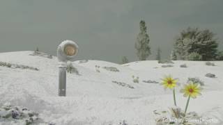 Teletubbies Čas Udělat Pápá Snow