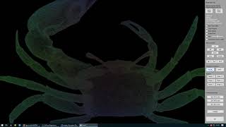 work in progress vb.net 3d  model viewer