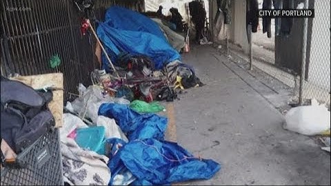 Cost of cleaning up illegal campsites