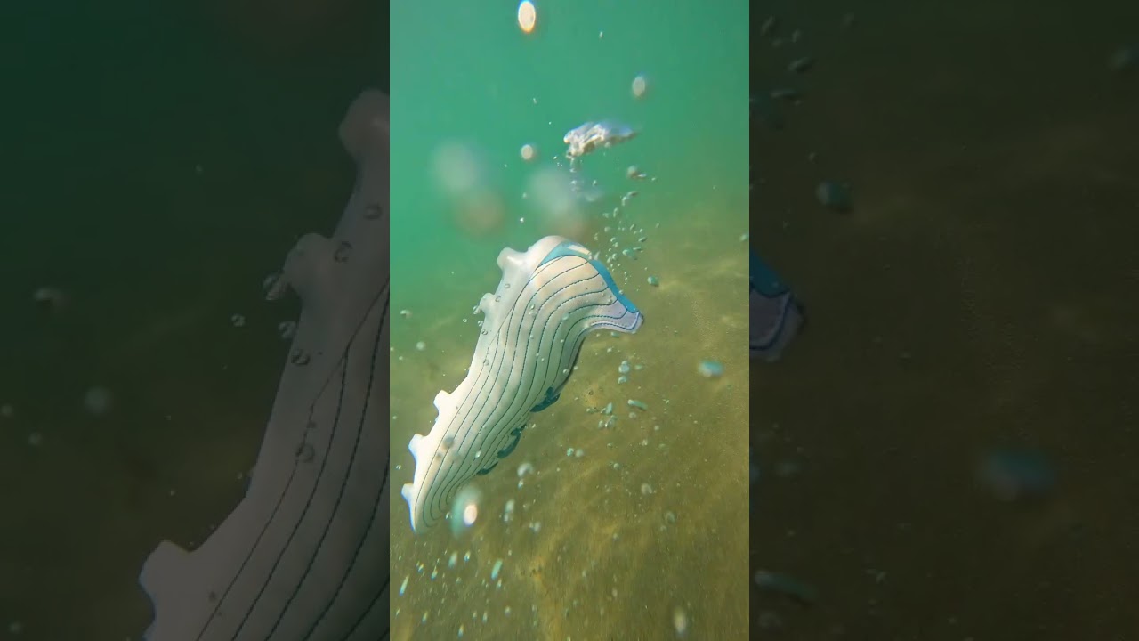 Reimagined adidas Boots - adidas x Parley 