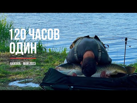 Видео: Ловля карпа после нереста (май 2023)